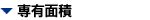 Lʐ
